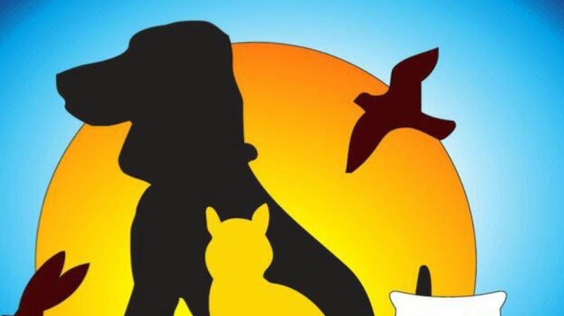 American Vet Center- المركز الأمريكي لطب وجراحه الحيوان