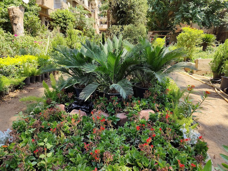 مشتل الهدى - صورة 1