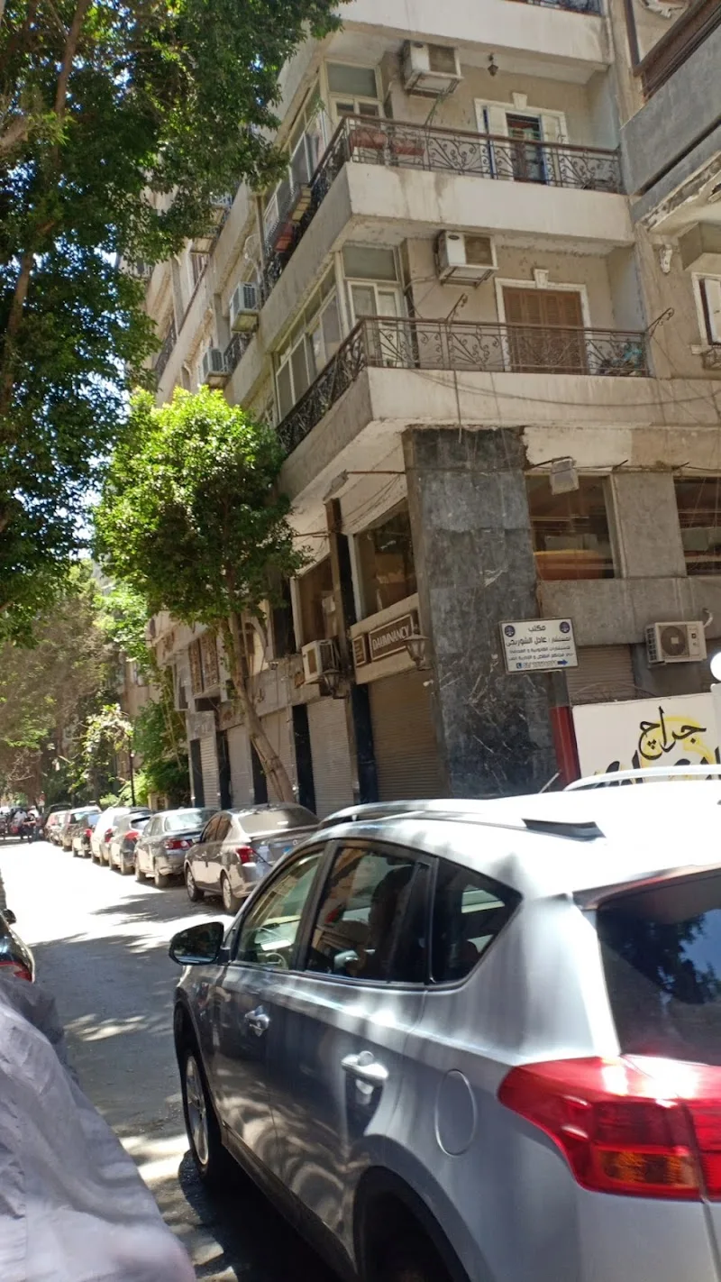 Adel El-Shourbagy Law Office