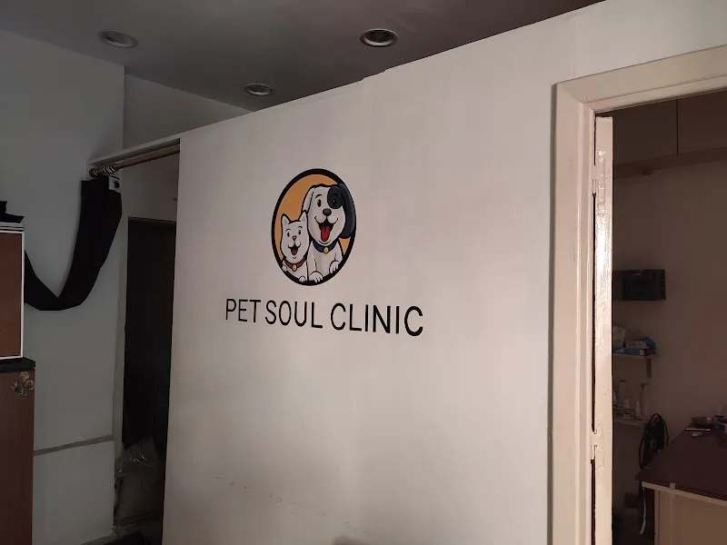 Pet Soul Clinic عيادة بيطرية طوارئ 24 ساعة في الأسكندرية مصطفى كامل كفر عبده - صورة 3