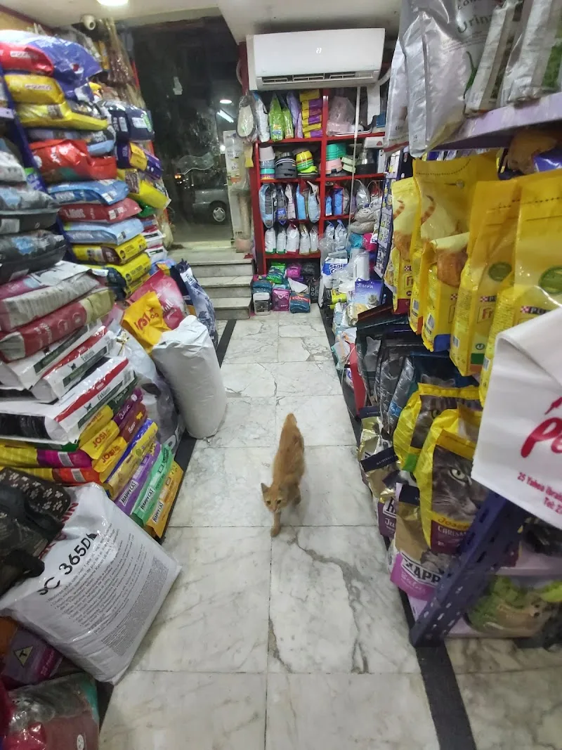 Pets Kingdom - Photo 2