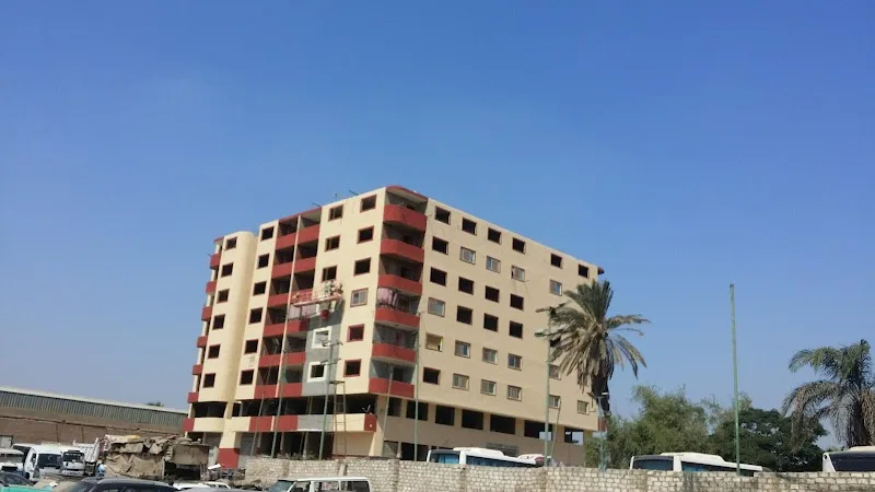 مشتل نباتات زينة وتشجير - صورة 3