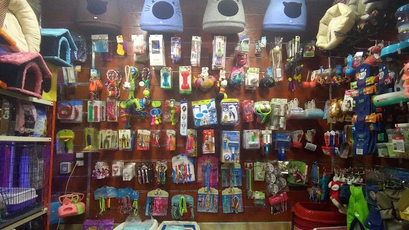 My pets vet center