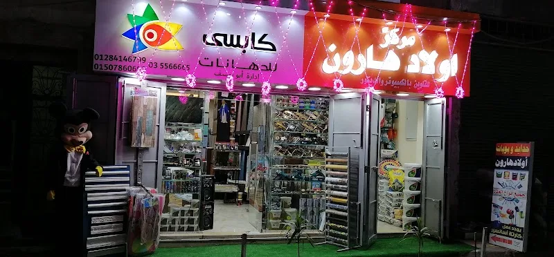 شركة في اف اس تسهيل اسكندرية - صورة 2