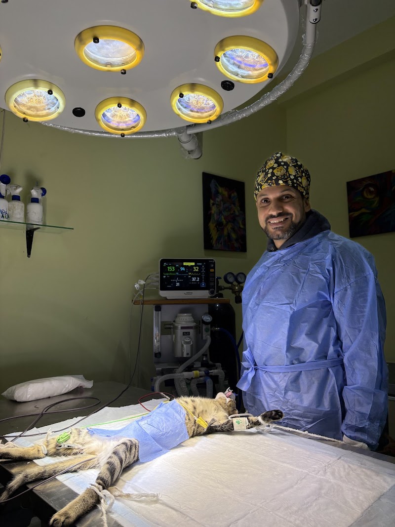 عيادة بيطرية - صورة 2