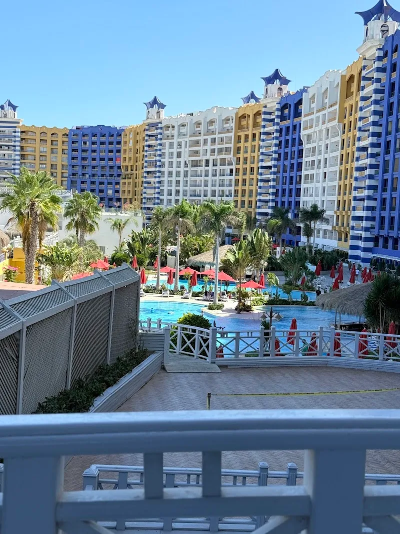 GOLD STARS TRAVEL - Photo 3