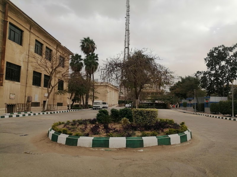 Faculty of Agriculture Cairo University - Photo 3