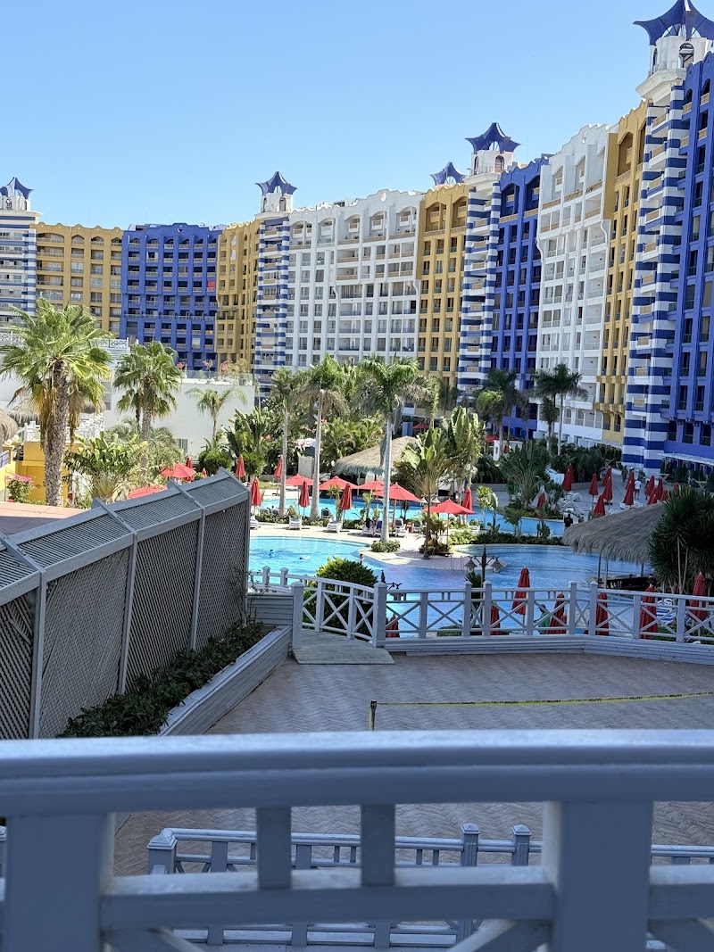 GOLD STARS TRAVEL - Photo 3