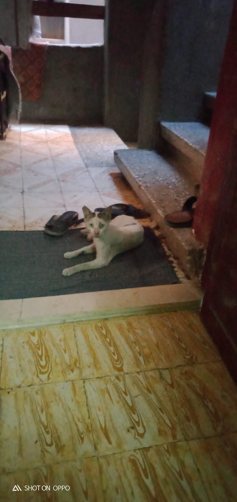 Nassar Gold - Photo 1