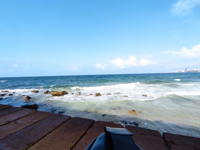 El Selsela Cafe - Photo 3