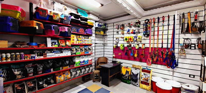 نسر البرية للحيوانات الاليفه بالمنصورة