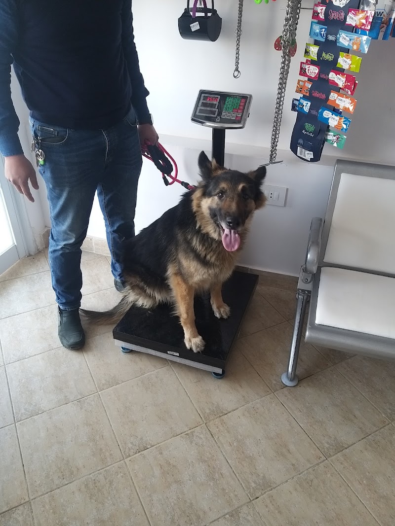 Lucky Pet Vet Clinic - Pet Motel - Pet Shop - Photo 1