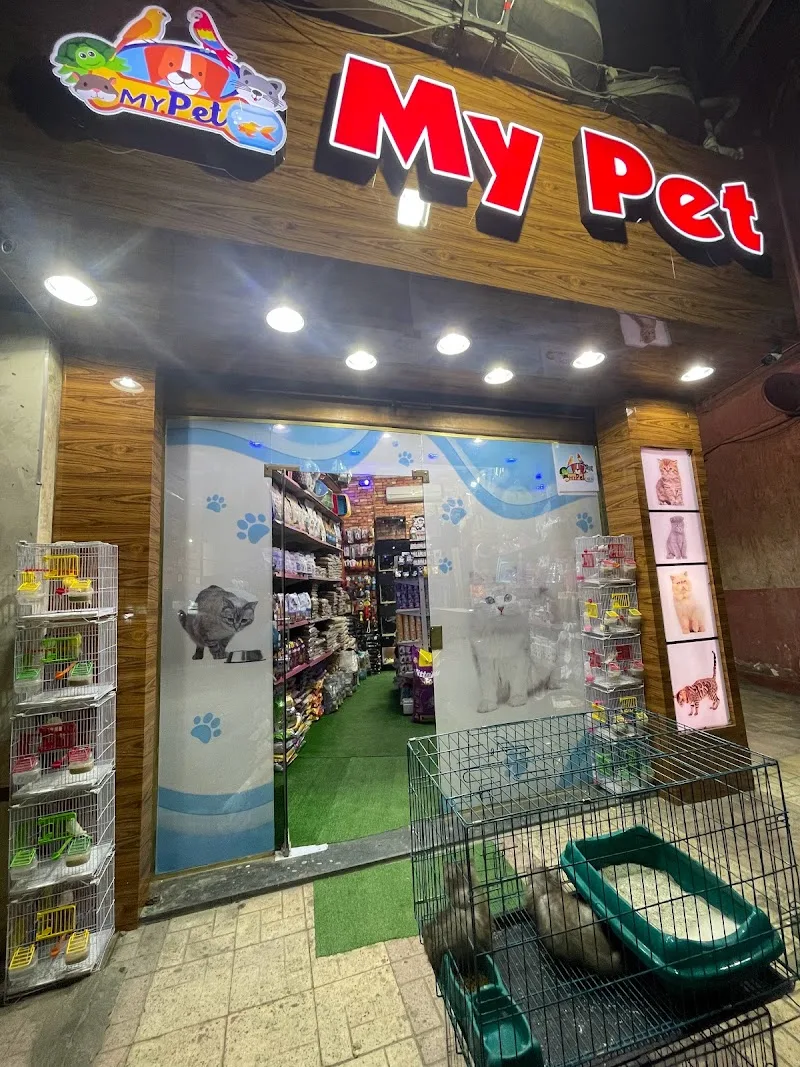 My Pet - Photo 2