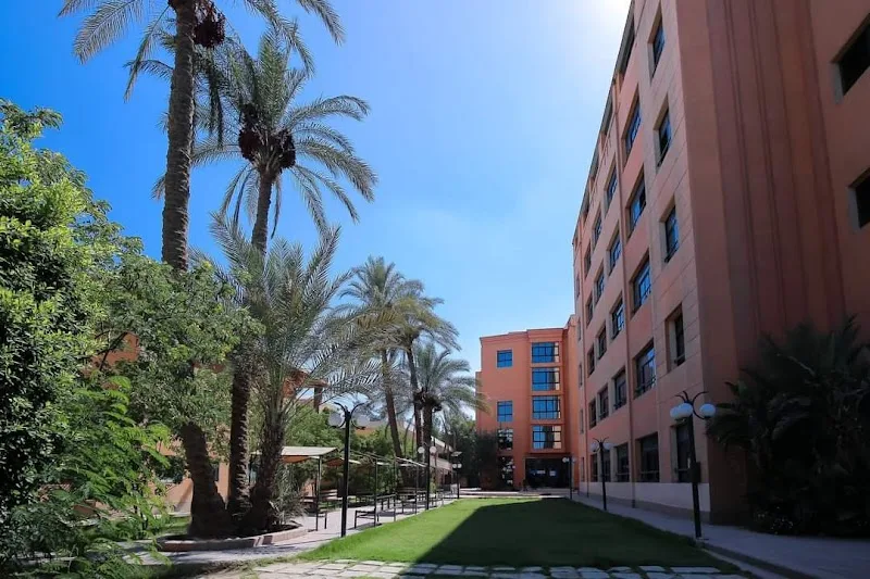 معاهد المدينة العليا