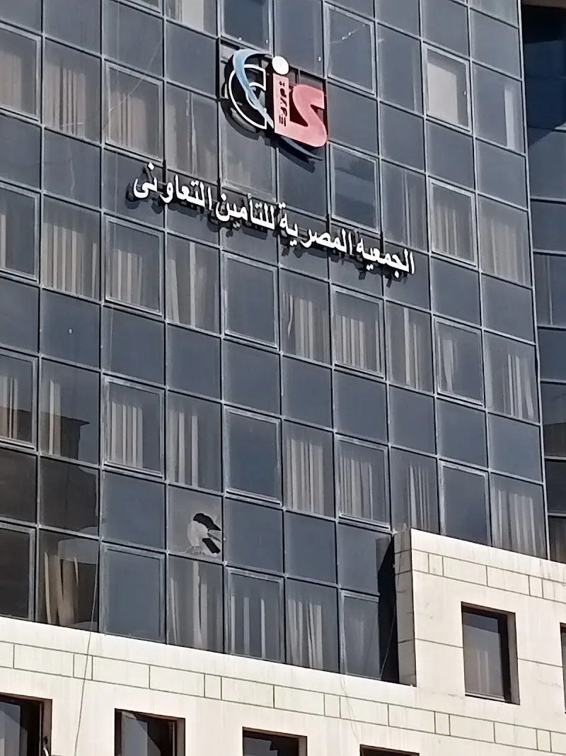 الجمعية المصرية للتأمين التعاونى