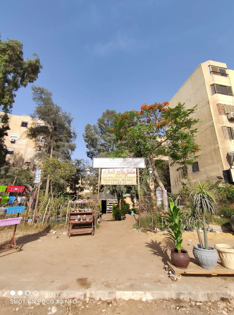 مشتل زهور السلام - صورة 1