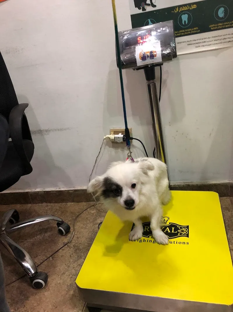 Dr. Vet Clinic - Photo 3