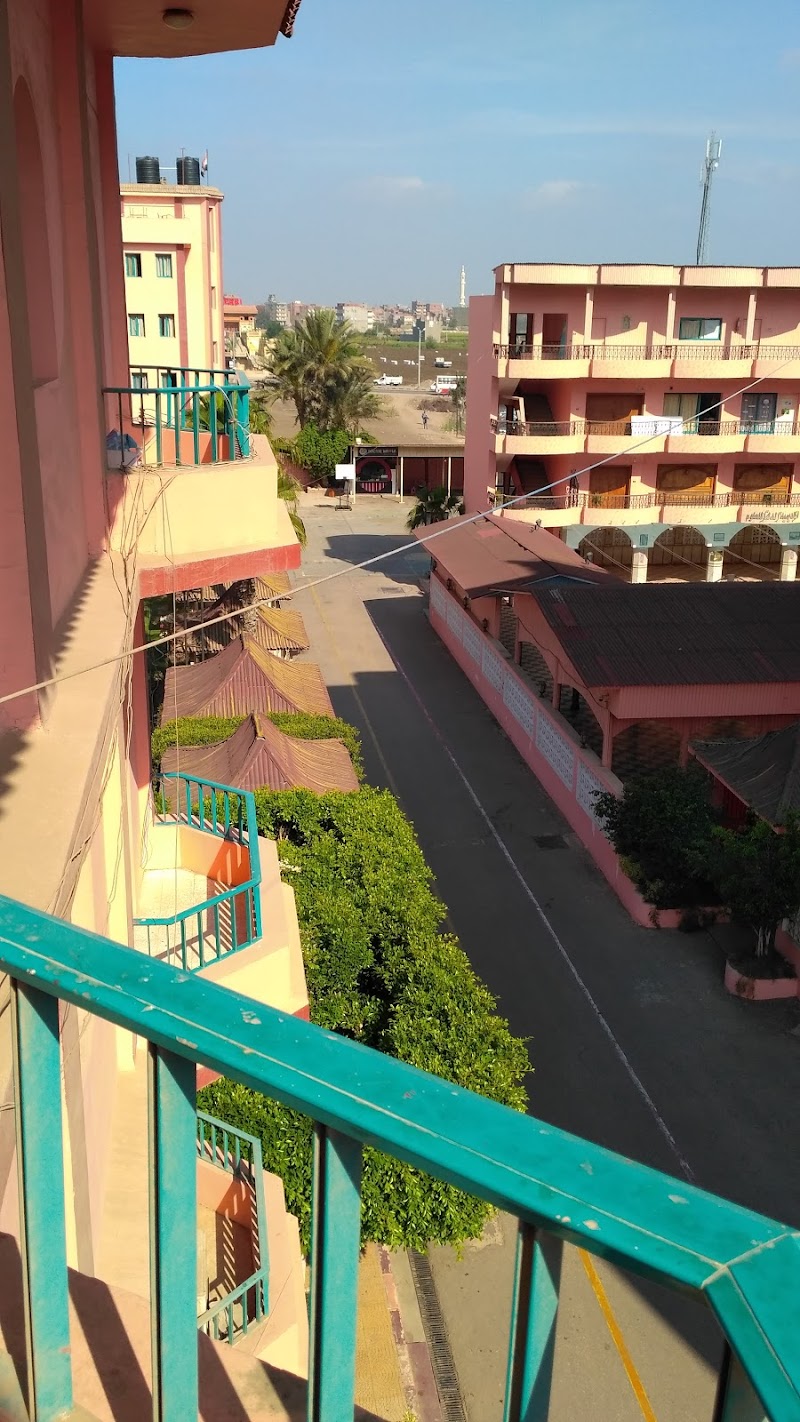 Delta International Language Schools - Photo 2