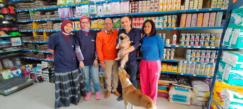 TNDY Pet Zone - Photo 3