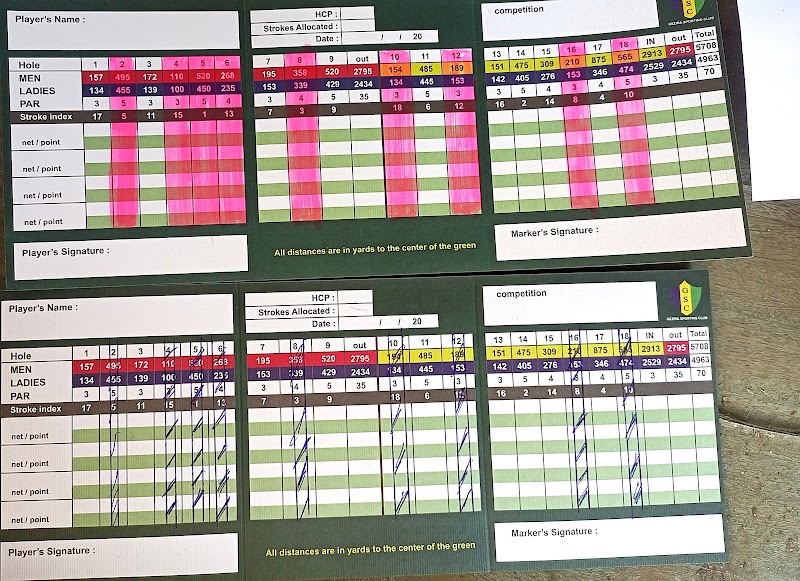 المصرية للإتصالات - وي - we - صورة 1