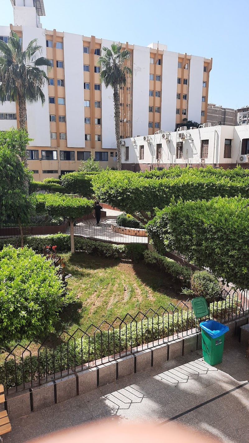 مستشفى الباطنة التخصصى جامعة المنصورة