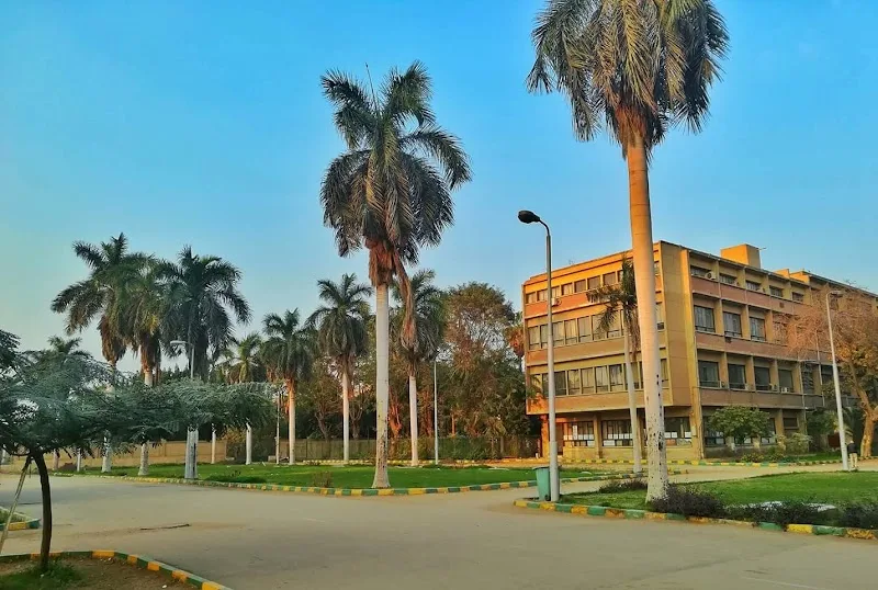 كلية الزراعة - جامعة عين شمس - صورة 3
