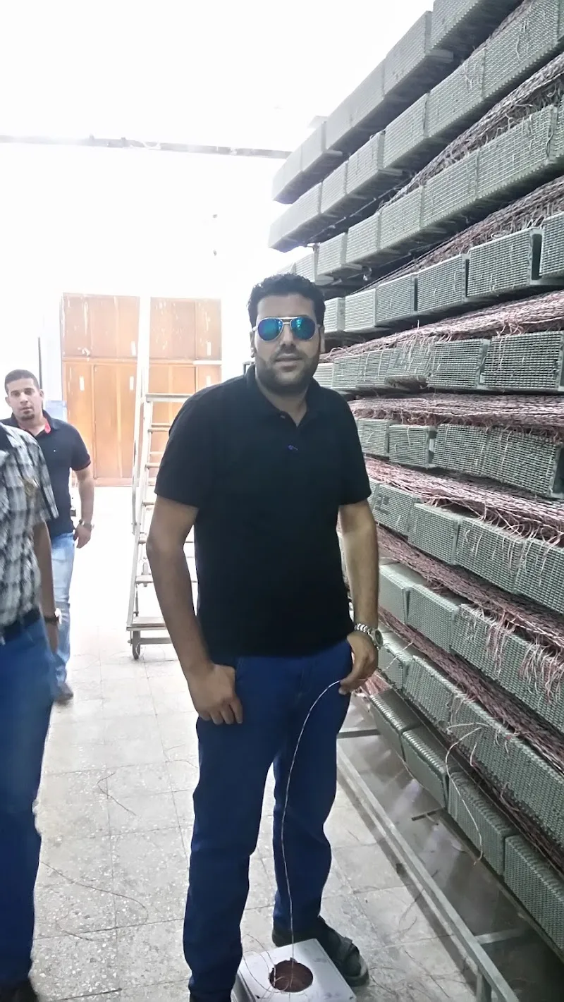 المصرية للإتصالات - سنترال غرب المنصورة - صورة 1