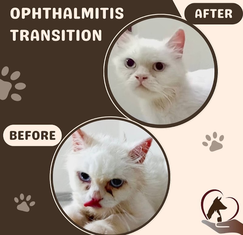 petsi vet clinic عيادة بيطرية - صورة 2