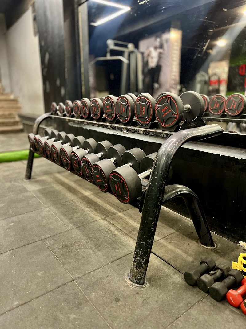 Round Gym - صورة 3