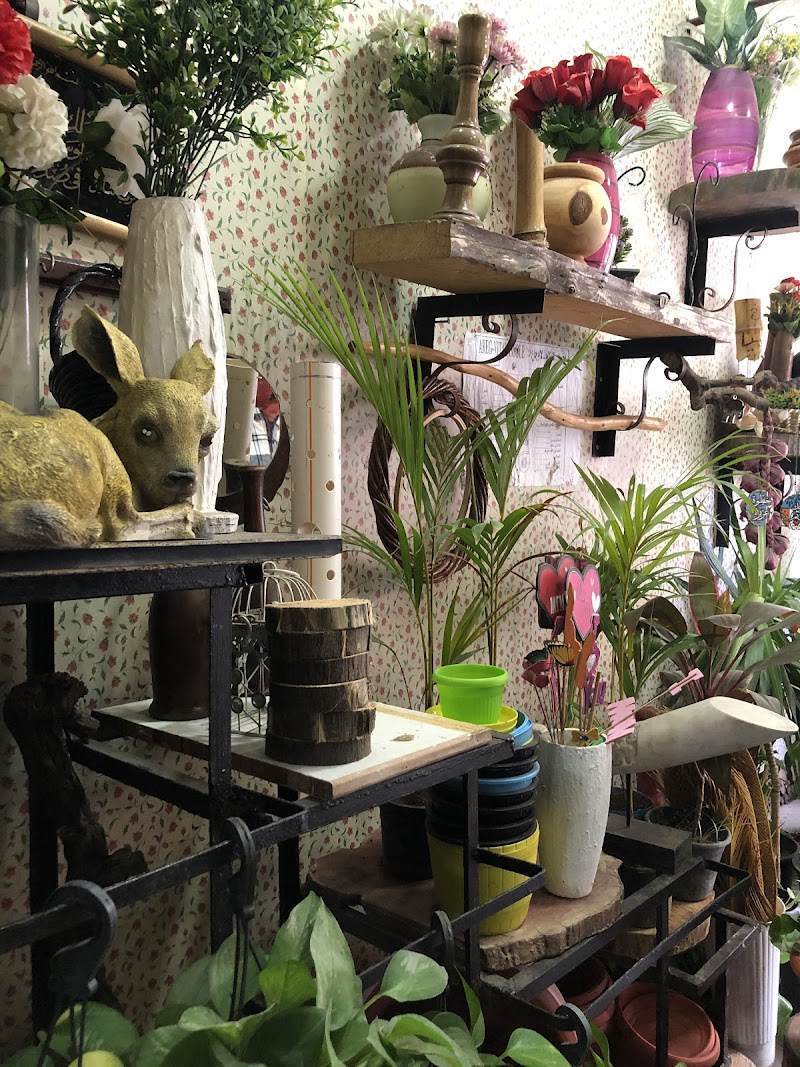 كوخ زاميا - Photo 2