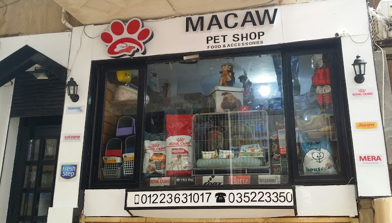 macaw pet store