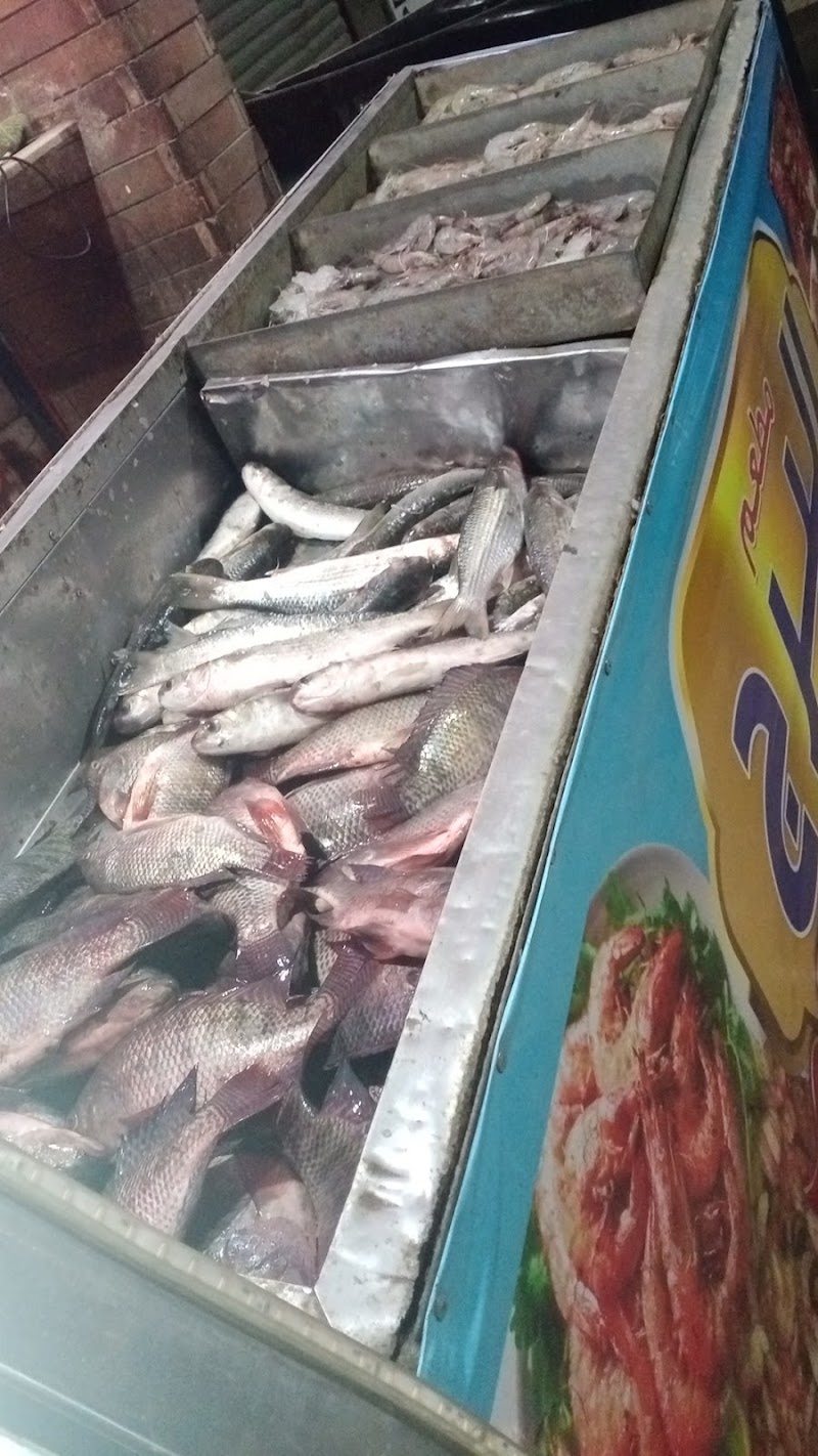 مطعم البرج للاسماك البحرية - صورة 1