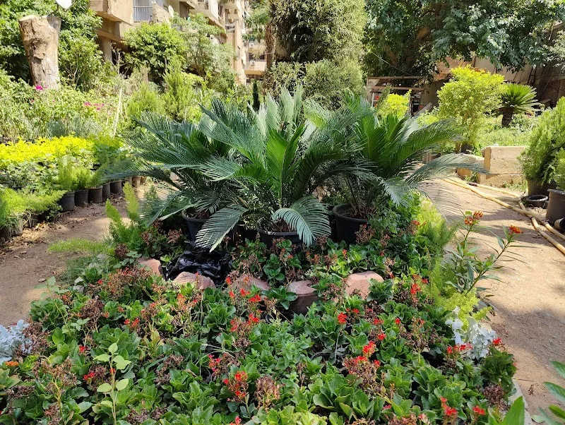 Flower Nursery - AlHuda - Photo 1