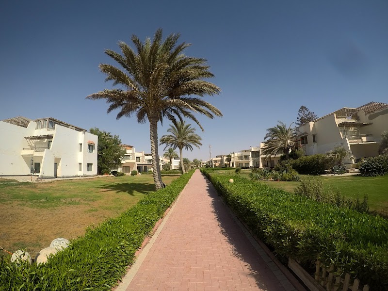 Pool Bar - Royal Beach Resort