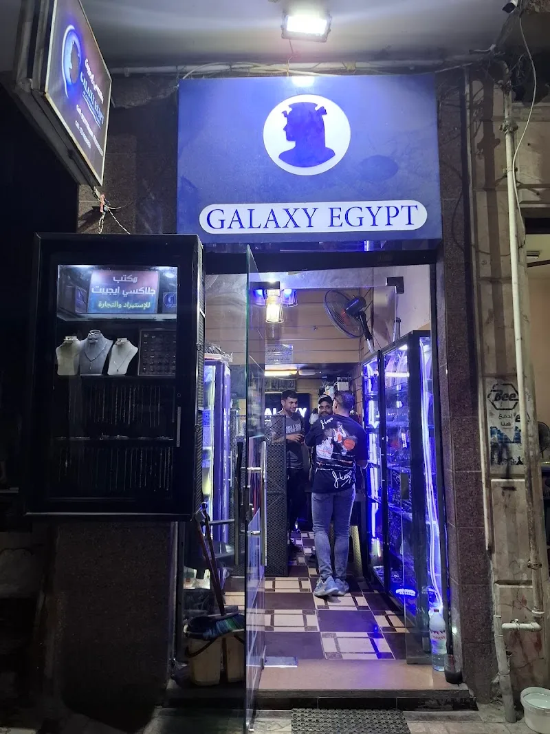 Galaxy Egypt Accessories ، silver store، فضيات جلاكسي ايجيبت