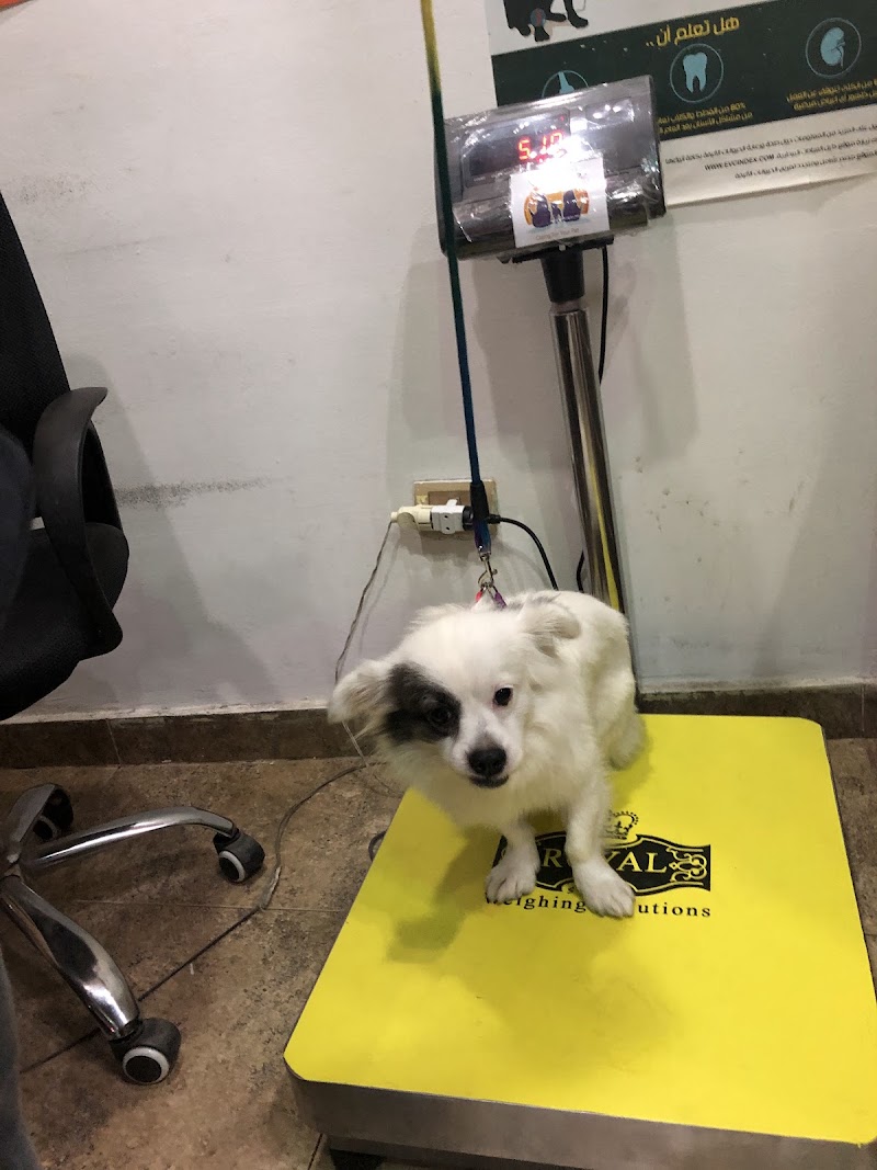 عيادة بيطرية - صورة 3