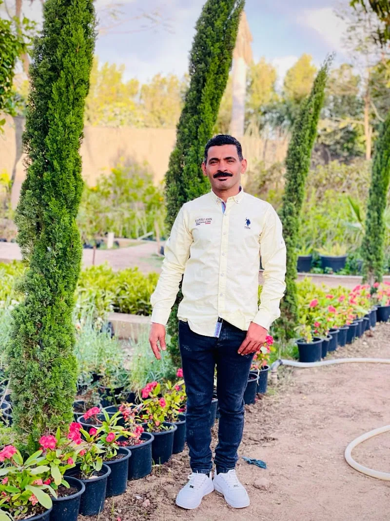 مشتل أبناء شعيشع - صورة 3