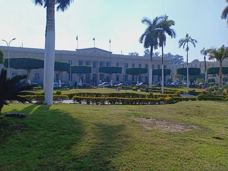 Cairo University Center for Foreign Languages and Translation Specialist - Photo 2