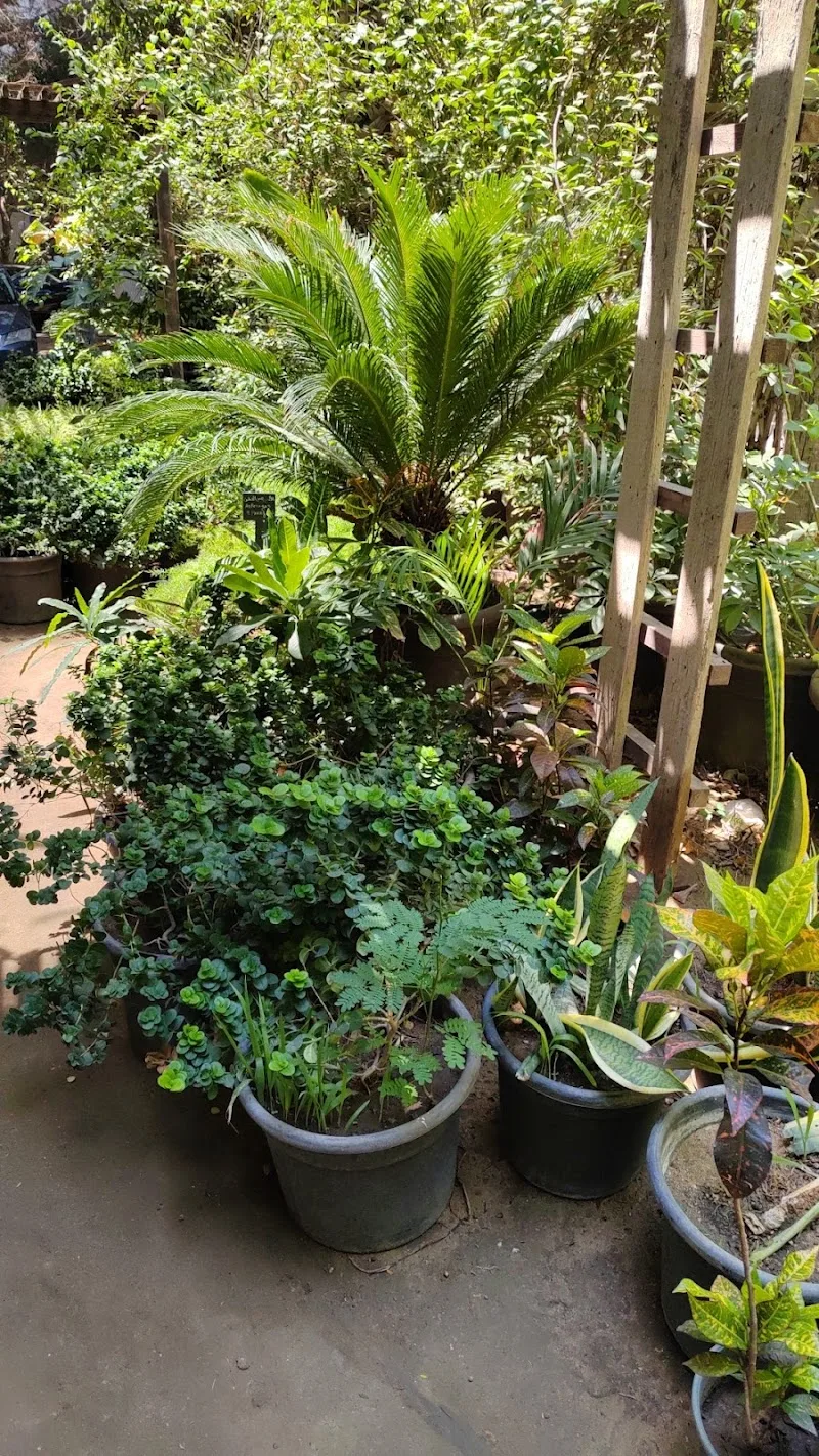 مشتل الدقي - Photo 3