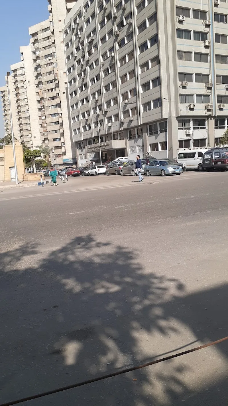 النصر العامة للمقاولات - صورة 1