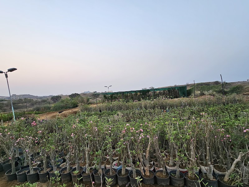 مشاتل الحياة - صورة 2