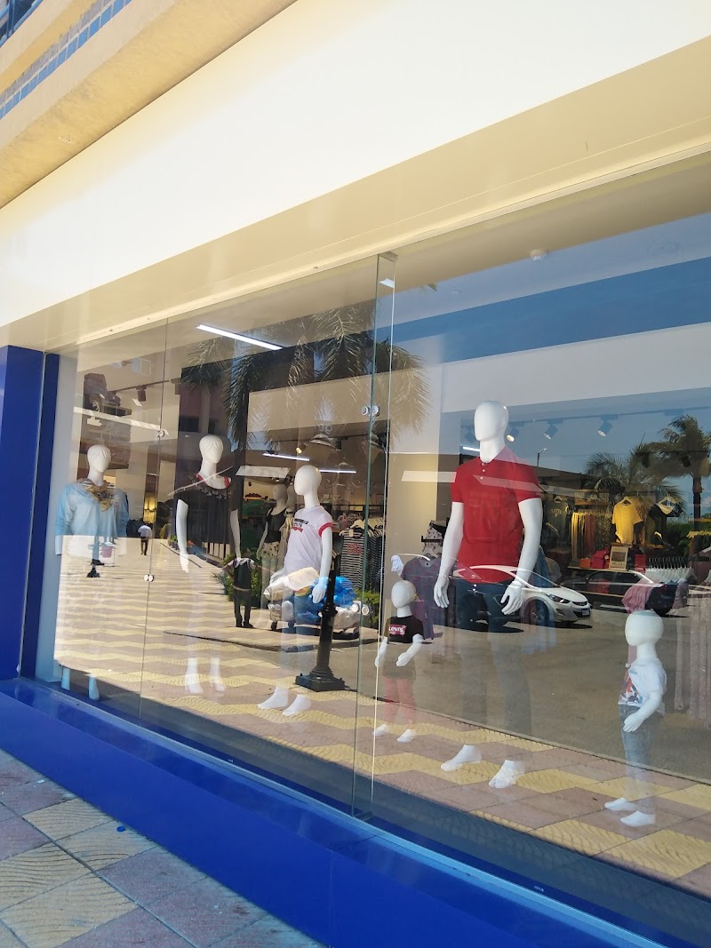 Nile Stock - Alexandria