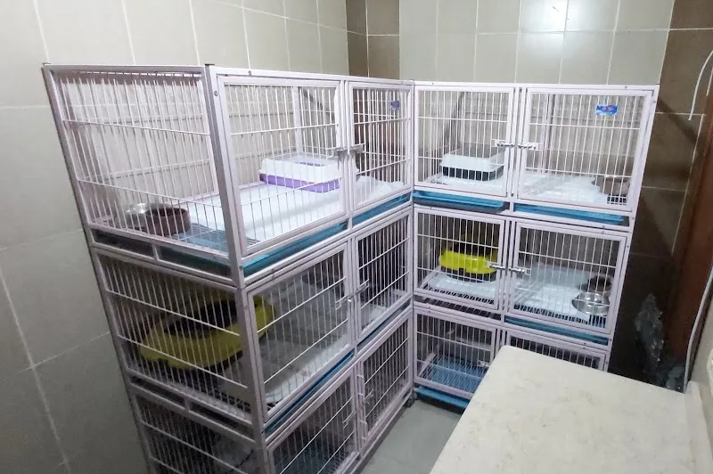 Alex Pet Center/مركز أليكس بيت البيطري - صورة 3