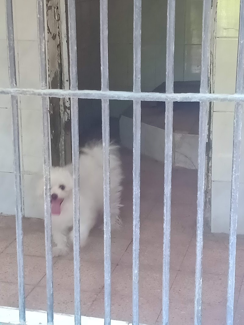 People's Hospital for Sick animals (PHSA) - Photo 3