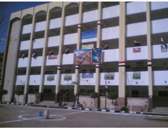 معهد المنصورة النموذجي للغات_ Al-Azhar Model Language School - صورة 1