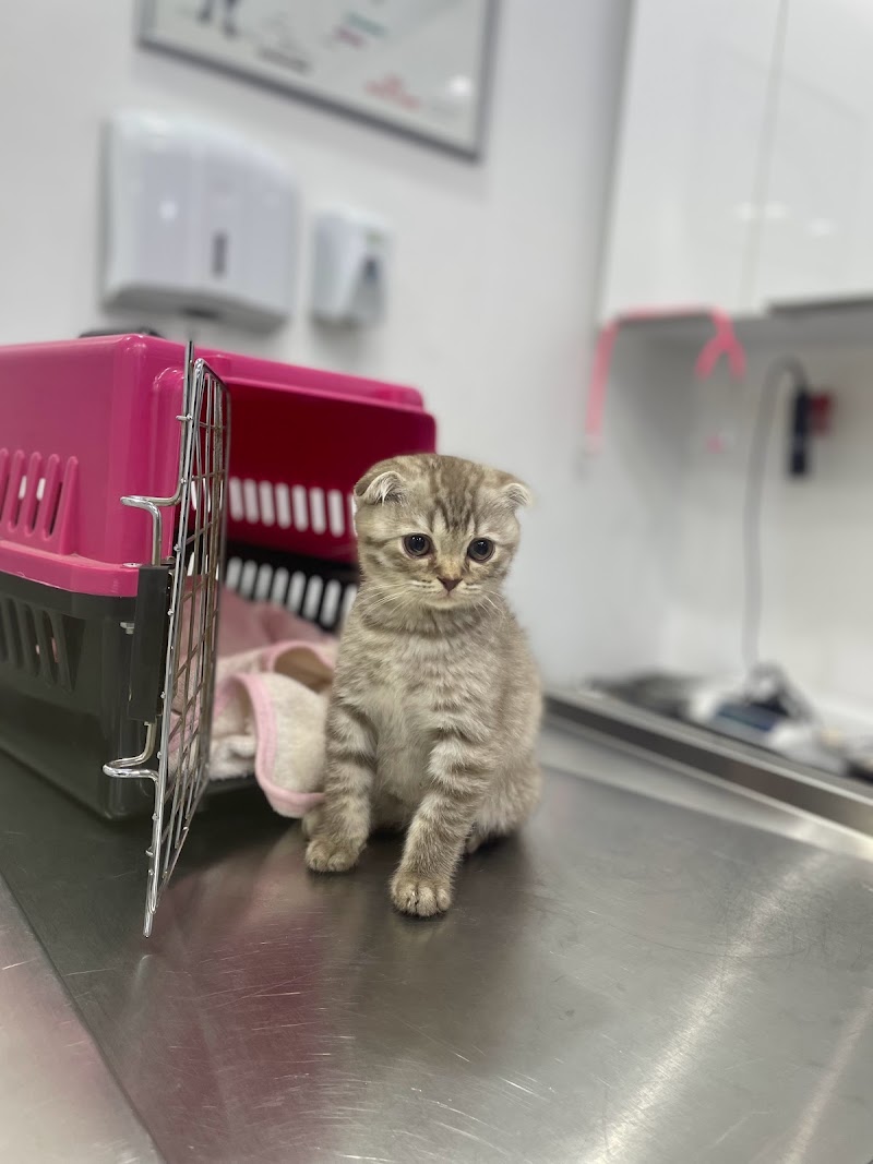 Petary Clinic - بيطري كلينك - Photo 2