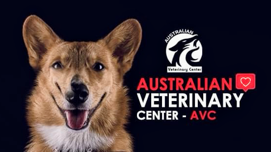 Australian Veterinary Center - AVC