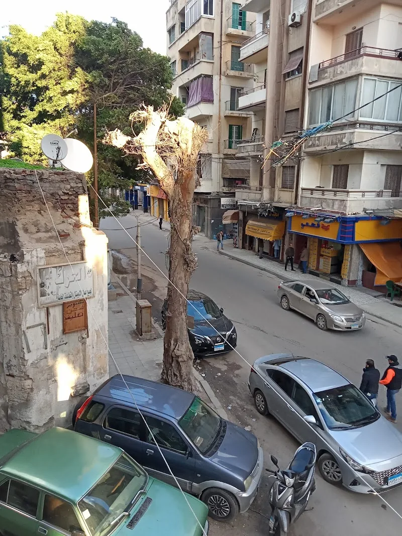 توزيع كهرباء الاسكندريه - صورة 2