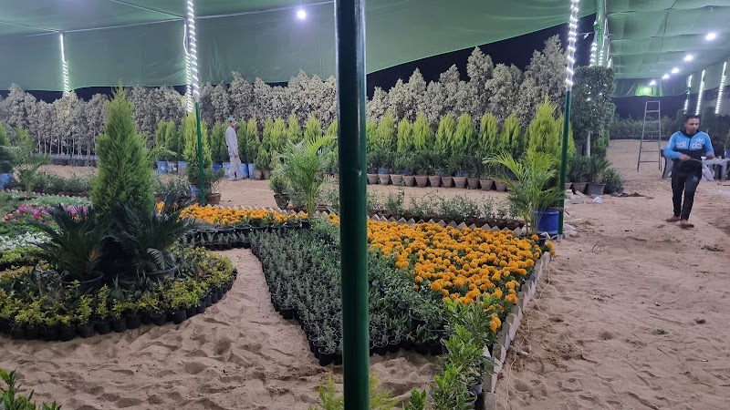 مشاتل الحياة