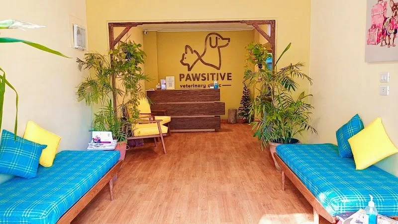 Pawsitive Veterinary Clinic